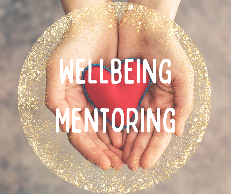 Wellbeing Mentoring  - 1 to 1 - 50 min Session - Adults & Teens
